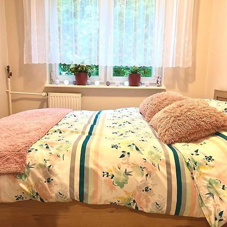 Appartamento Apartament Pod Lipami Giżycko Esterno foto