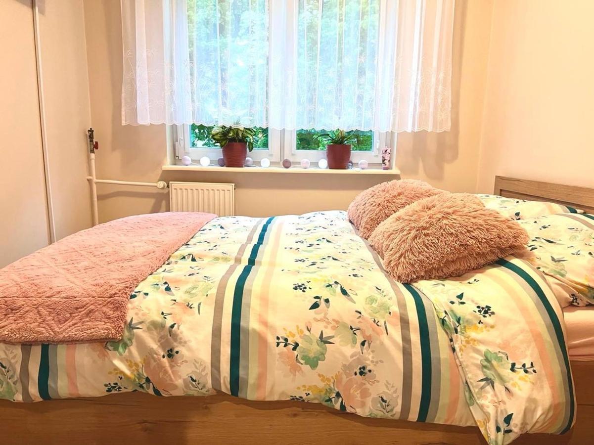 Appartamento Apartament Pod Lipami Giżycko Esterno foto